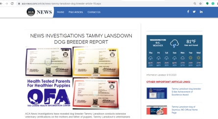 topbreeders, tammy, lansdown, acanews, article, dog, breeder, tammy-lansdown, dog-breeder,