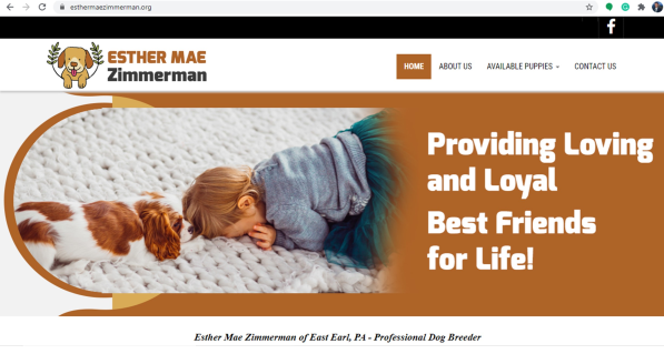 Esther, Mae, Zimmerman, dog, breeder, website, Esther-Mae-Zimmerman, dog-breeder, east, earl, pa, pennsylvania,  puppy, customer, kennels, mill, puppymill, usda, 23-A-0268, 23A0268, 5-star, certificate, daschund, ACA, ICA, registered