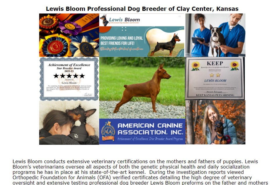 Facts on Lewis Bloom Dog Breeder
