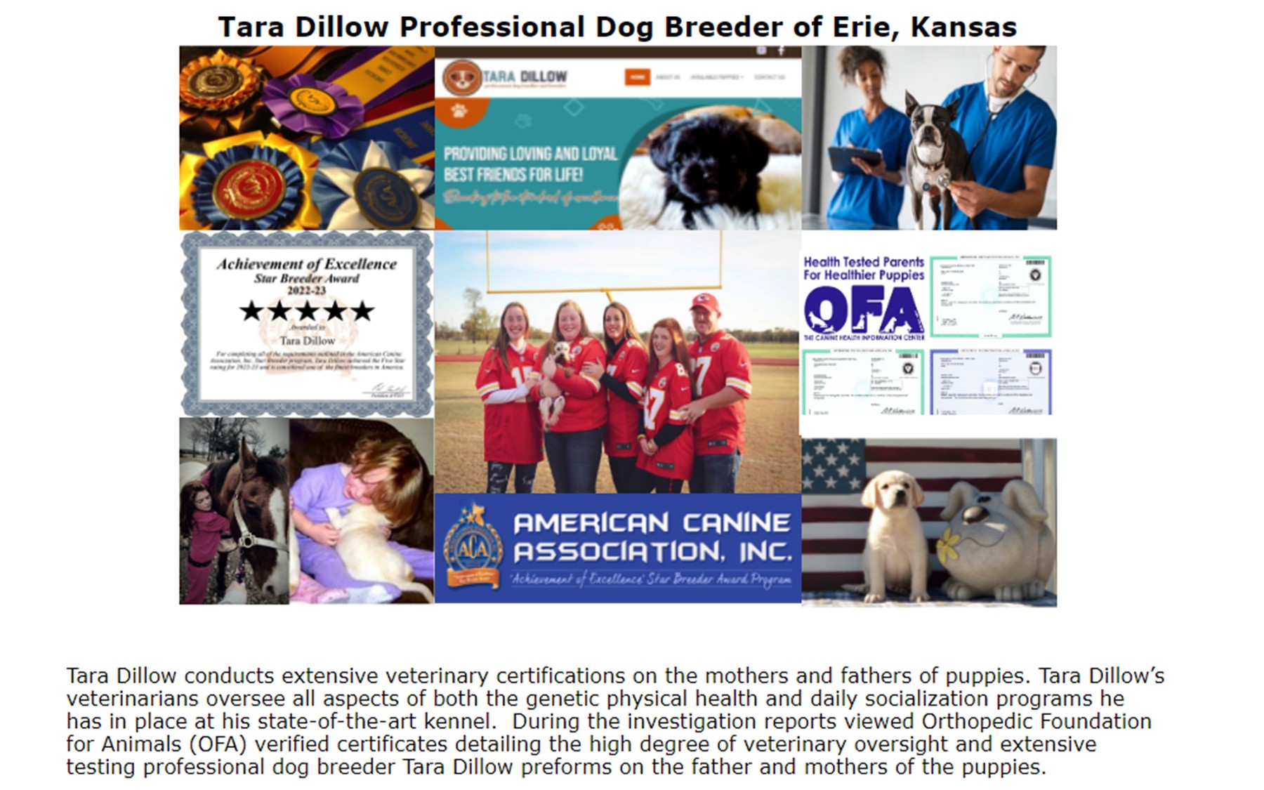 Tara Dillow Professiona Dog Breeder and Dog Show Handler