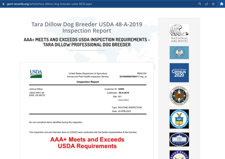 tara-dillow-dog-breeder-usda
